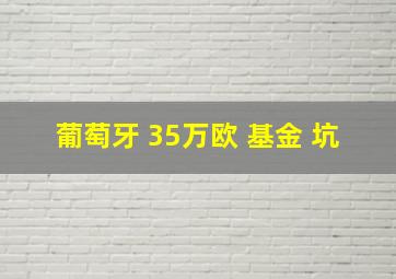 葡萄牙 35万欧 基金 坑